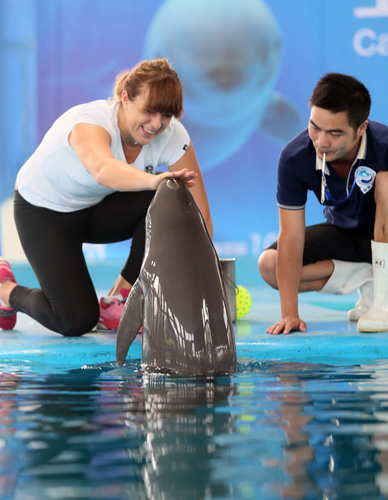 战术掌控上 战术掌控上