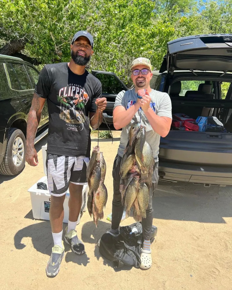 应对方案 应对方案